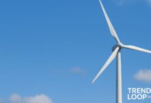 lastlongerrightnow.com wind power giants leading the renewable revolution