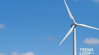 lastlongerrightnow.com wind power giants leading the renewable revolution